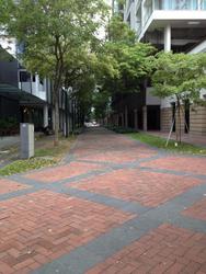 Robertson Blue (D9), Apartment #105421562